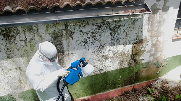 Top rated local Crawl Space Mold Remediation specialists in Duncannon, PA